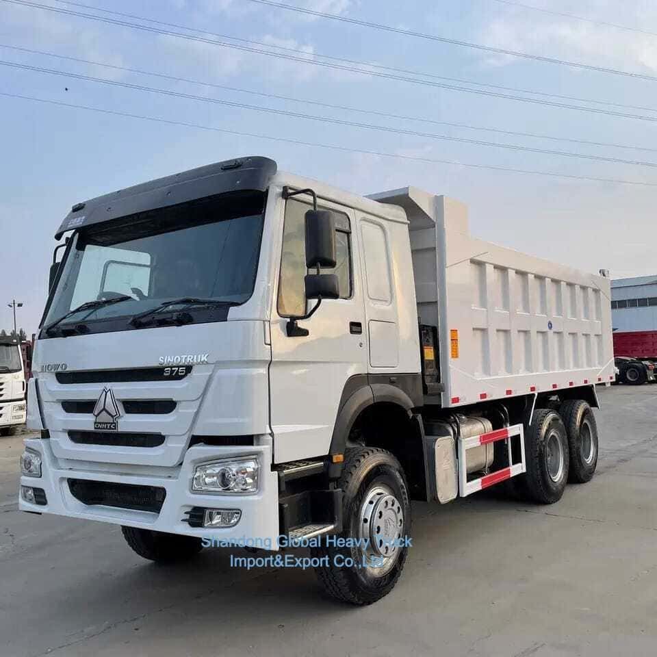 Подержанные 32 30 35 тонн грузовики с подъемником Дизель Подержанный Sinotruck HOWO 6X4 Дамп-грузовик